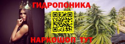 стаф Славгород