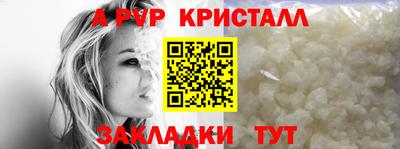 стаф Славгород