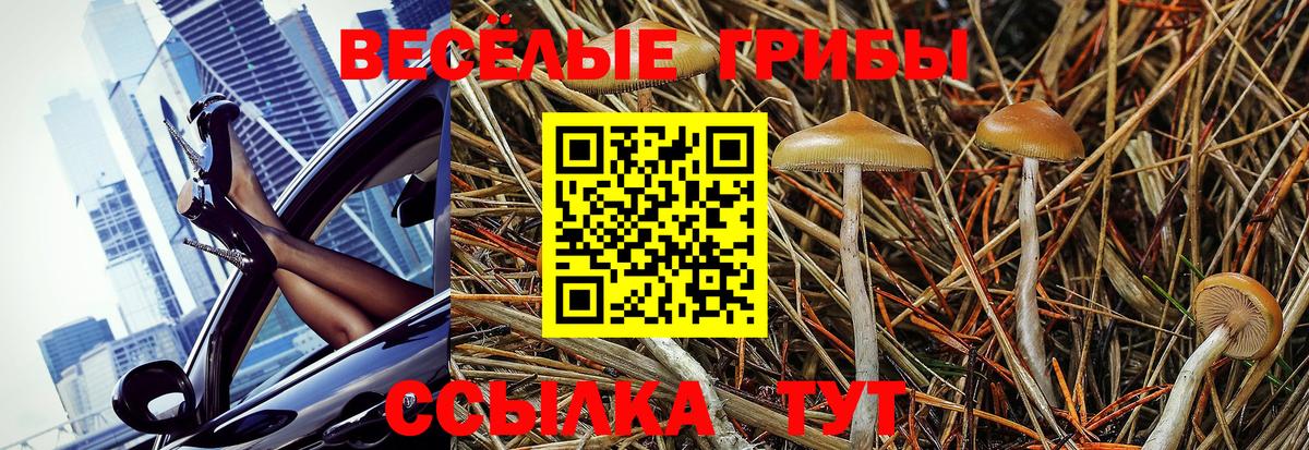 Галлюциногенные грибы Magic Shrooms  Вход с VPN  Саратов 