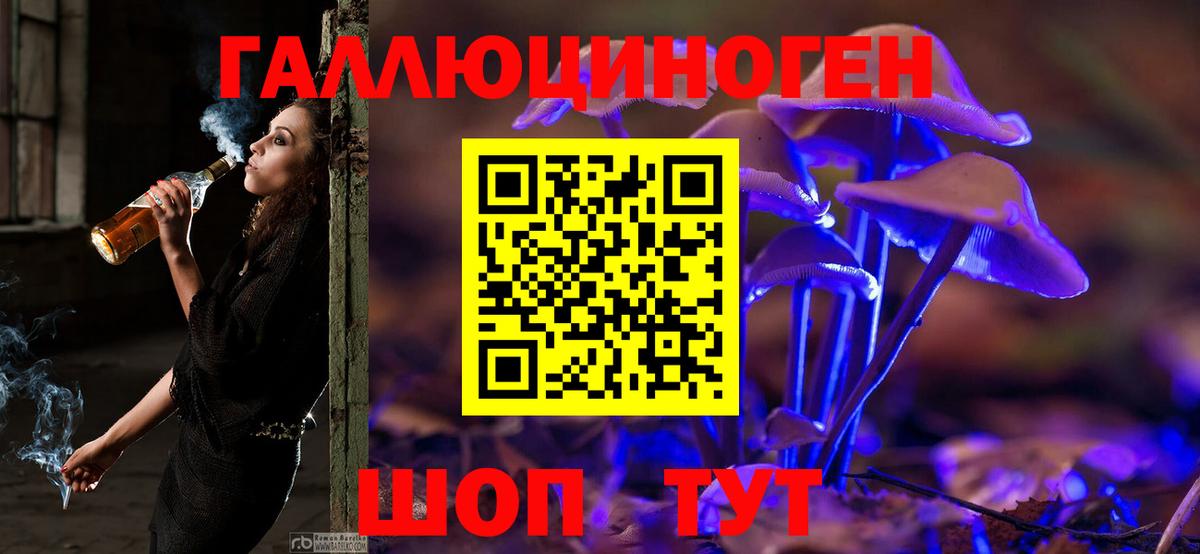 Псилоцибиновые грибы ЛСД Саратов